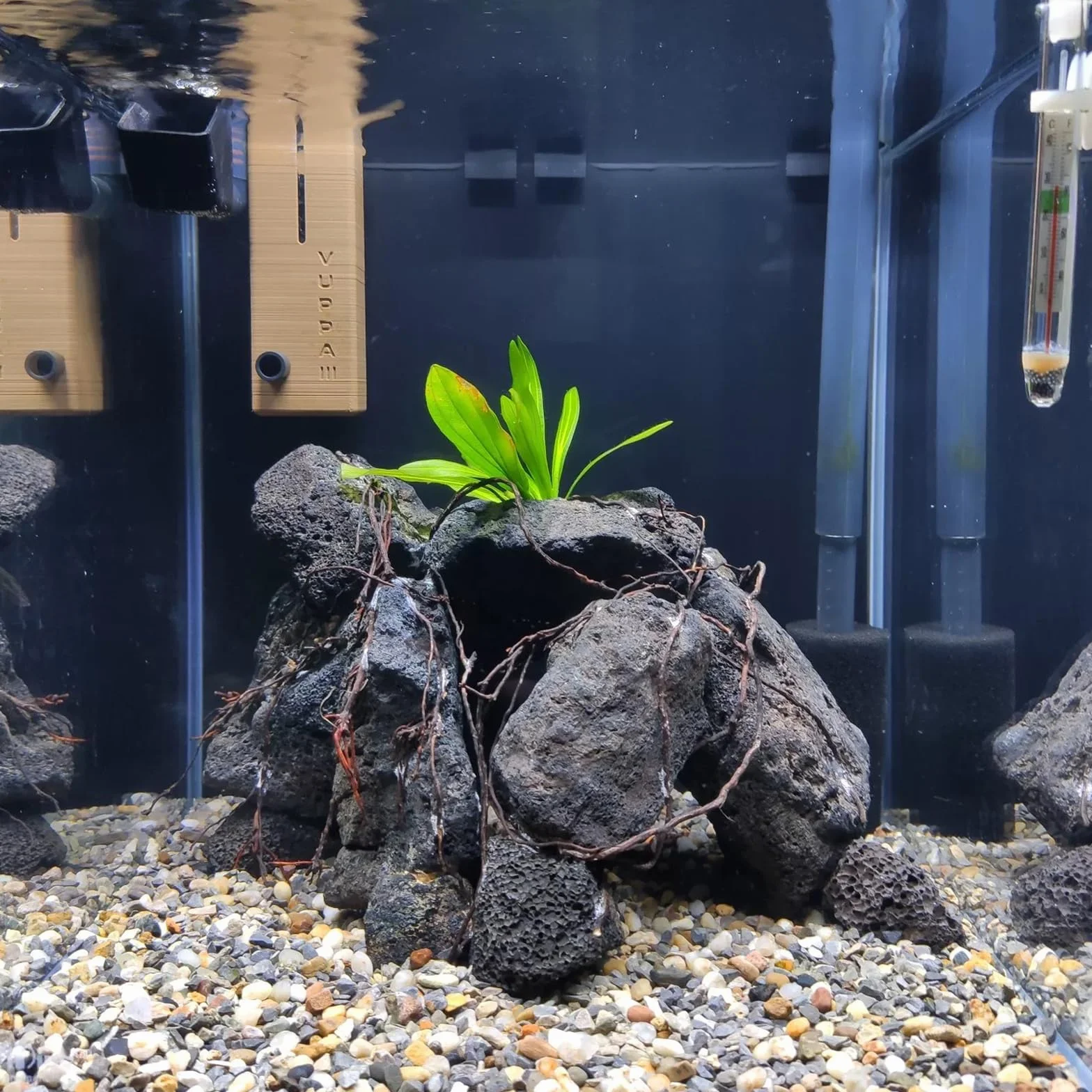Rocce di Lava vulcanica Nera per Acquario, braciere, Bonsai e Piante grasse, Decorazione Giardino e Paesaggio, 2,25 kg (3 Pezzi 10–15 cm)