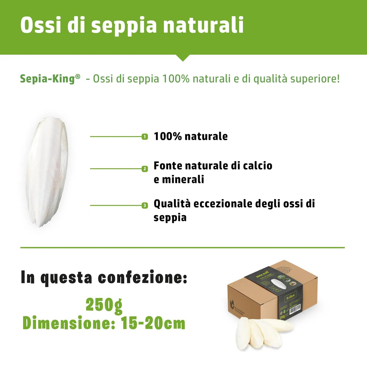 Sepia King - Ossi di Seppia grandi – Box XL 250g 15–20 cm – Calcio e minerali naturali – Osso di Seppia grande – Mangime per Rettili, Tartarughe, Drago Barbuto, Uccelli, Accessori Terrario