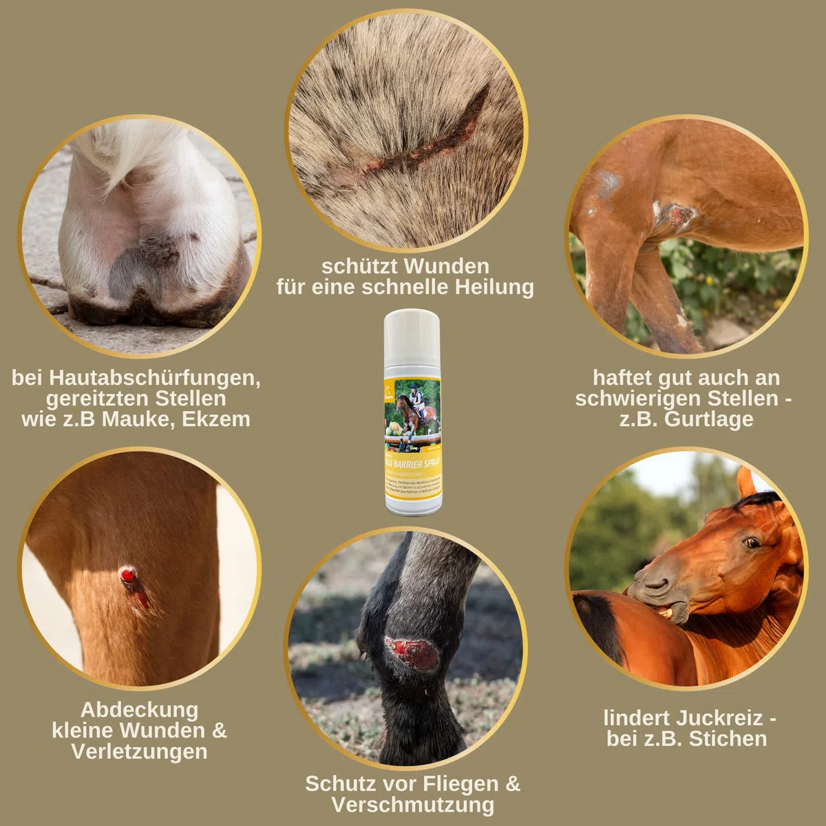 Spray all'argento per cavalli I Spray protettivo delle ferite per animali I Spray all'argento per cani e gatti I Spray all'alluminio all'argento I Cura e disinfezione delle ferite spray 2 * 200ml