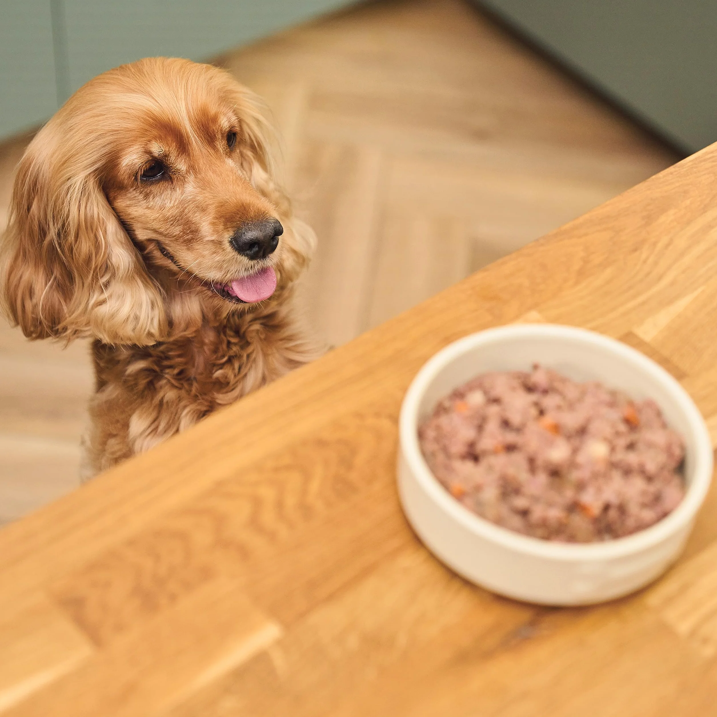 Lily's Kitchen Prodotto con ingredienti naturali Cibo umido per cani Spezzatino di cervo con fagiano e salmone 6 x 400 g