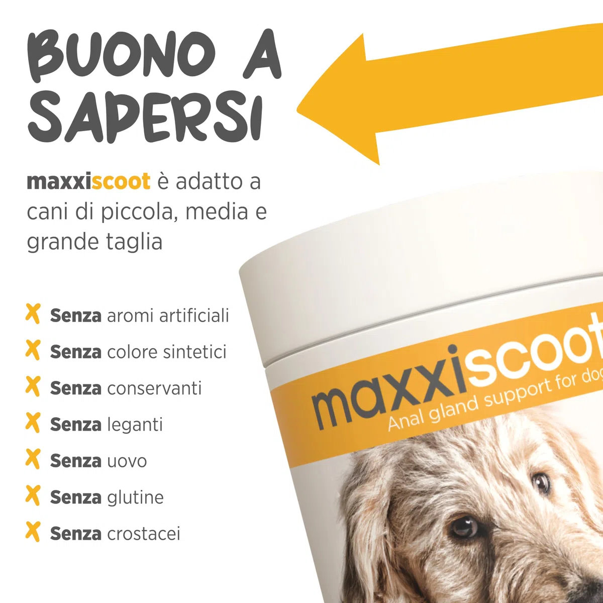 maxxipaws maxxiscoot Ghiandole Perianali e Apparato Digerente - Integratore per Cani, 140g