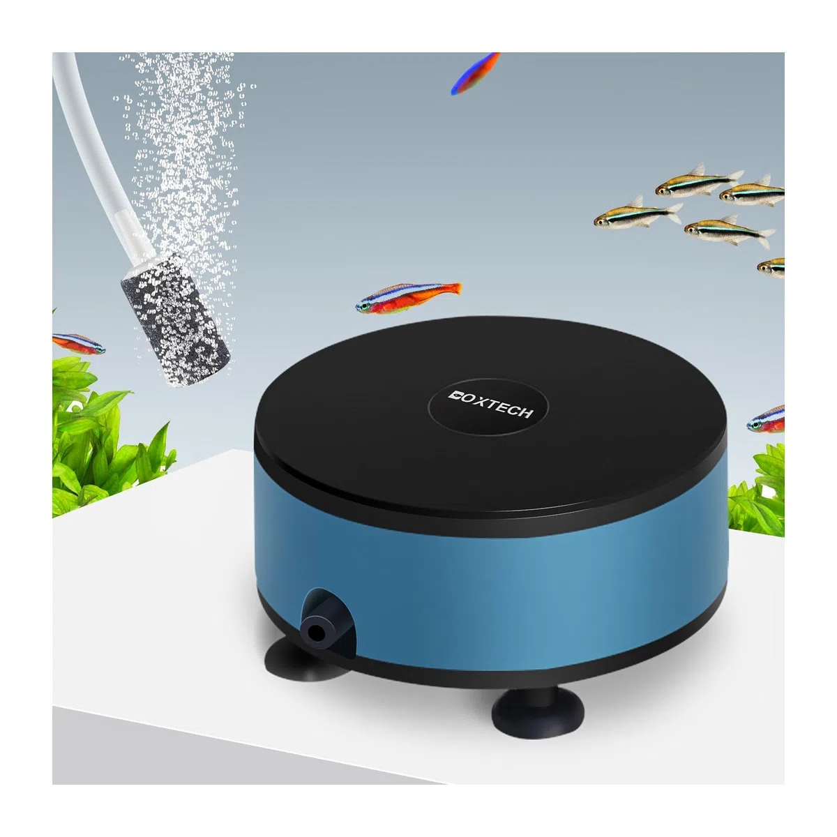 boxtech Pompa d'aria per acquario per acquario, kit per aeratore di ossigeno con pietra d'aria, tubo per mini acquario da 7-30 litri