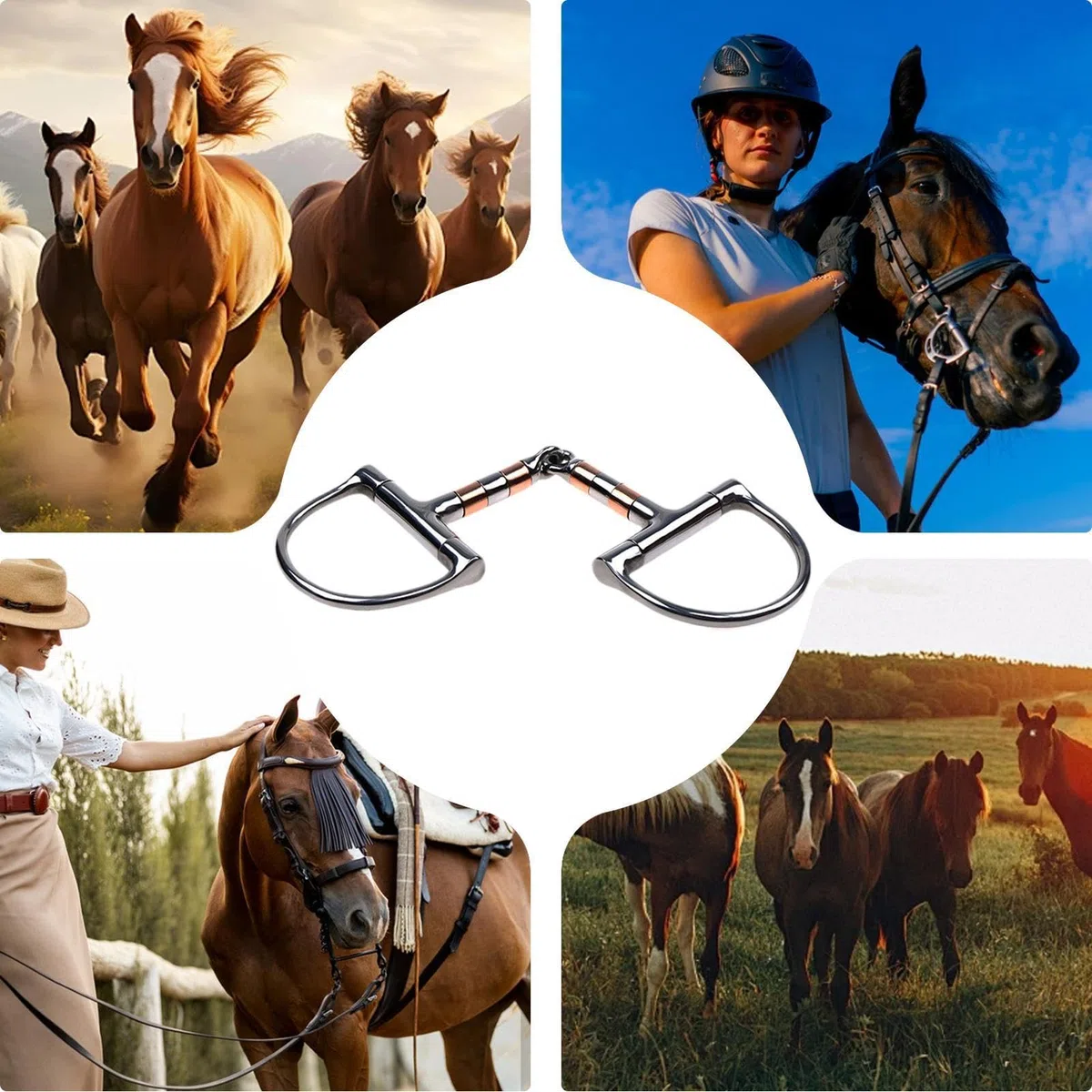 da addestramento per , con anello a D con bocca a rullo in rame, punta singola per equitazione e allenamento