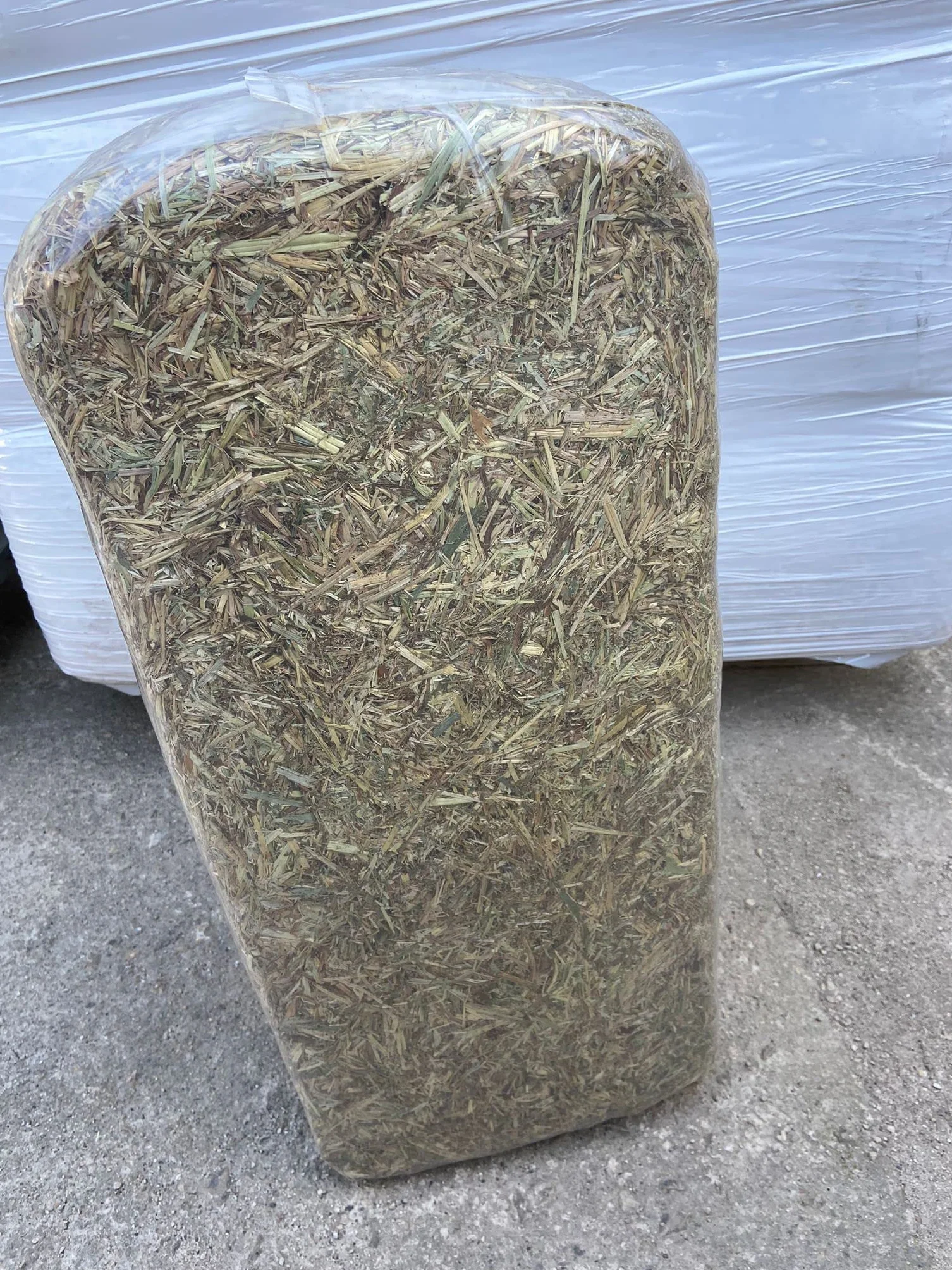 Balla di paglia d'orzo, 100 x 50 x 40 cm, qualità alimentare