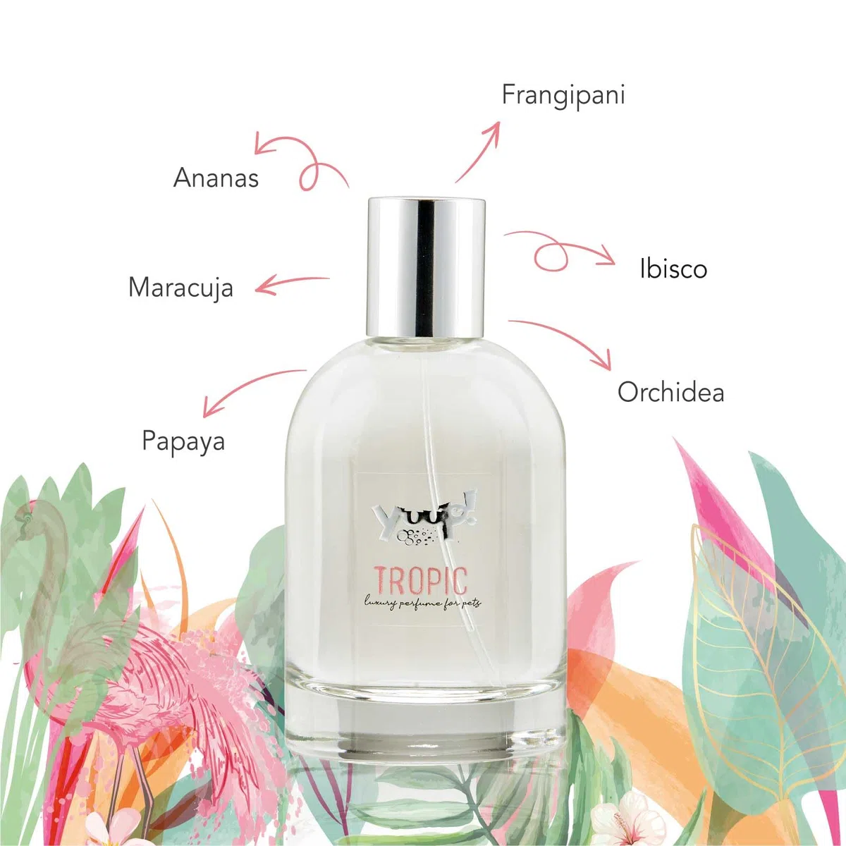 YUUP! - Fragranza TROPIC a lunga durata per cani e gatti, 100 ml, profumo per cane e gatto con note di ananas, maracuja, papaya, frangipani, ibisco e orchidea