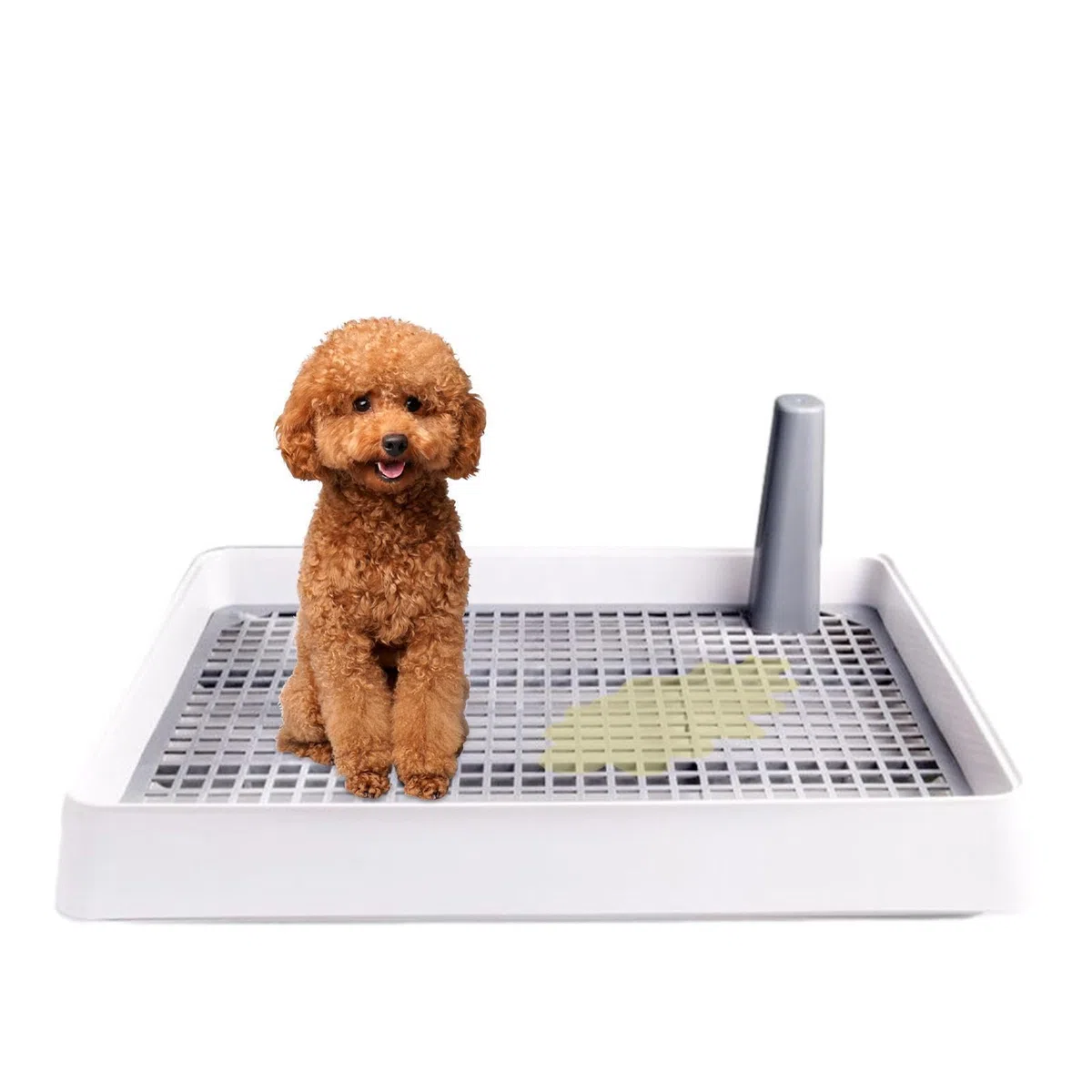 Vassoio per vasino per cani da interno - Porta del pad di addestramento per toilette per cuccioli per razze piccole e medie | Stazione durevole per pee pad per la vita di appartamenti, rottura di case