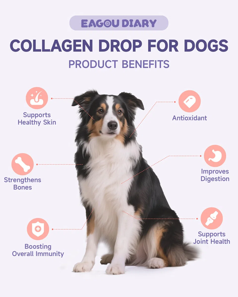 Eagou Diary Collagene per Cani - Supporto per Articolazioni e Flessibilità, Salute della Pelle e del Pelo, Glucosamina, MSM, Olio di Cocco, Vitamina C E, Biotina - Supporto Sistema Immunitario, 60ml
