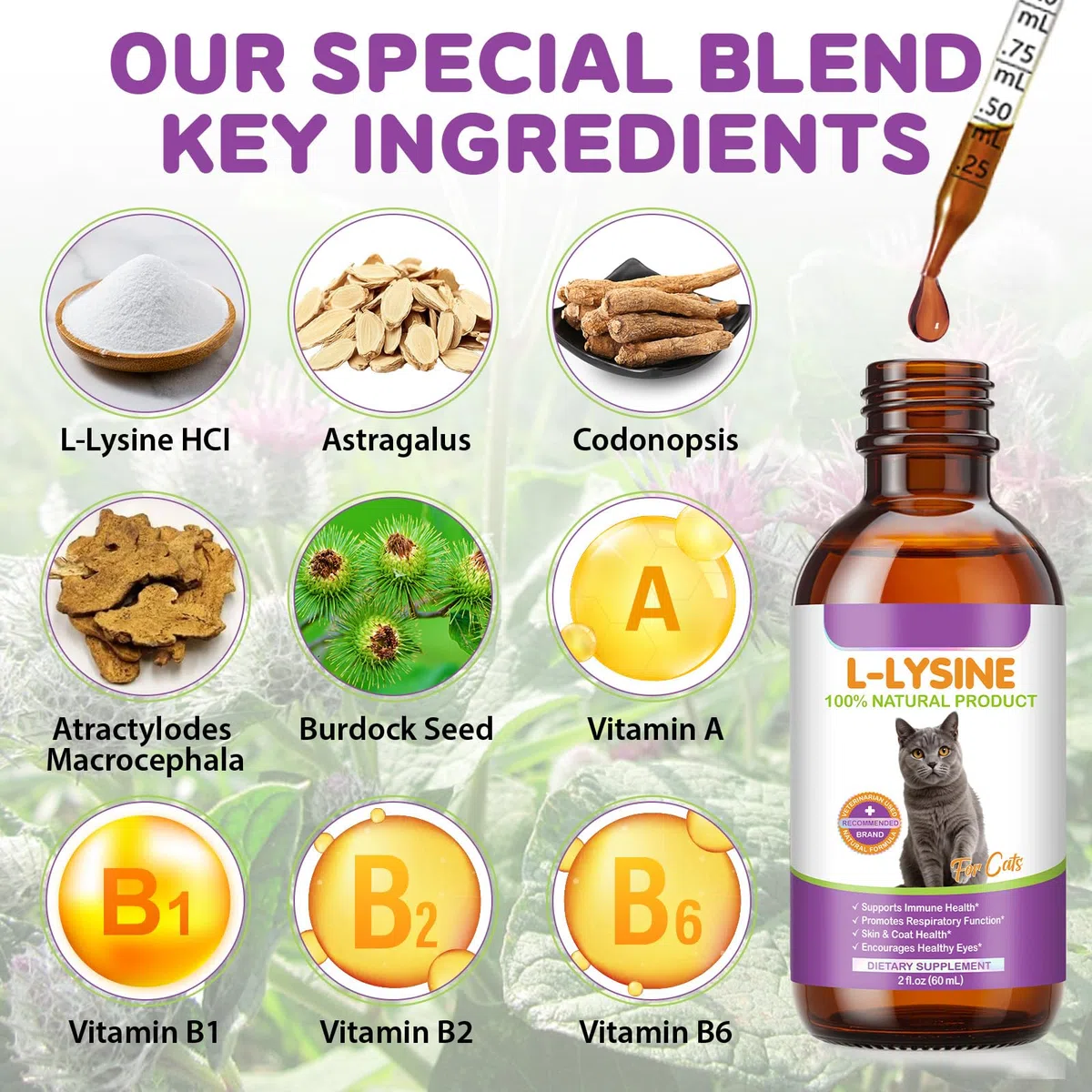 Gocce di L-lisina per gatti 60 ml - naturale sapore di pollo, 250 mg per dose, supporto immunitario e respiratorio, aiuto alla salute degli occhi e alle macchie di lacrime