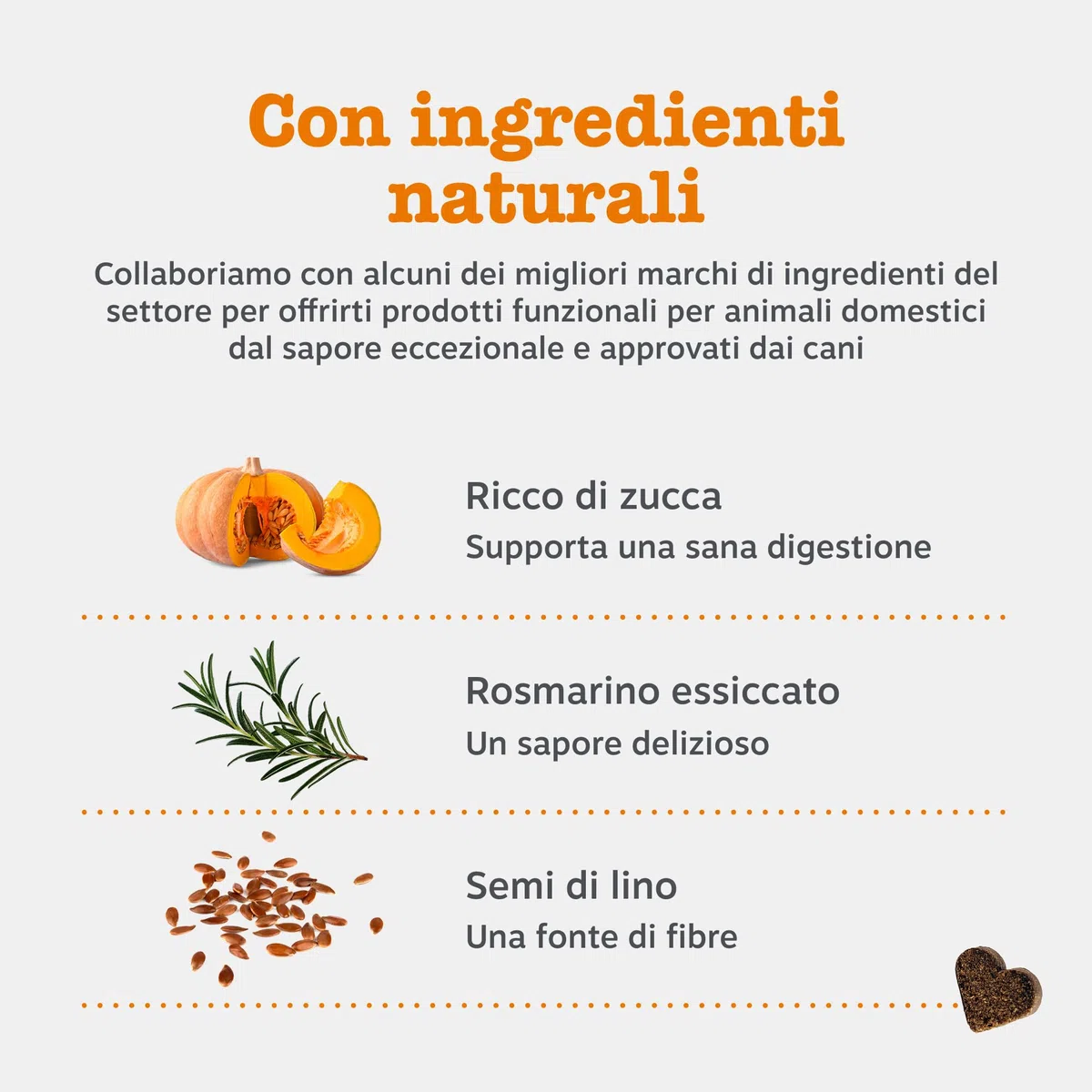 Zesty Paws Probiotici per Cani – Supporta Salute Intestinale, Digestione – con Pre, PRO e Postbiotici, Zucca e Semi di Lino – Equilibrio Digestivo – 90 Bocconcini