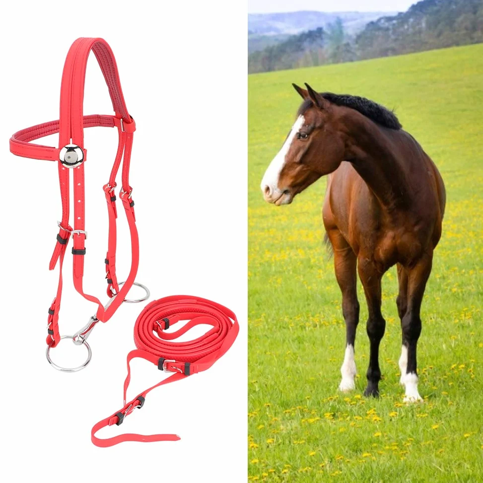 Qcwwy Briglia per Cavallo in PVC, Testiera per Imbracatura per Cavallo Regolabile Antiruggine con Filetto Cavo Rimovibile in Acciaio Inossidabile Attrezzatura Equestre Adatta per