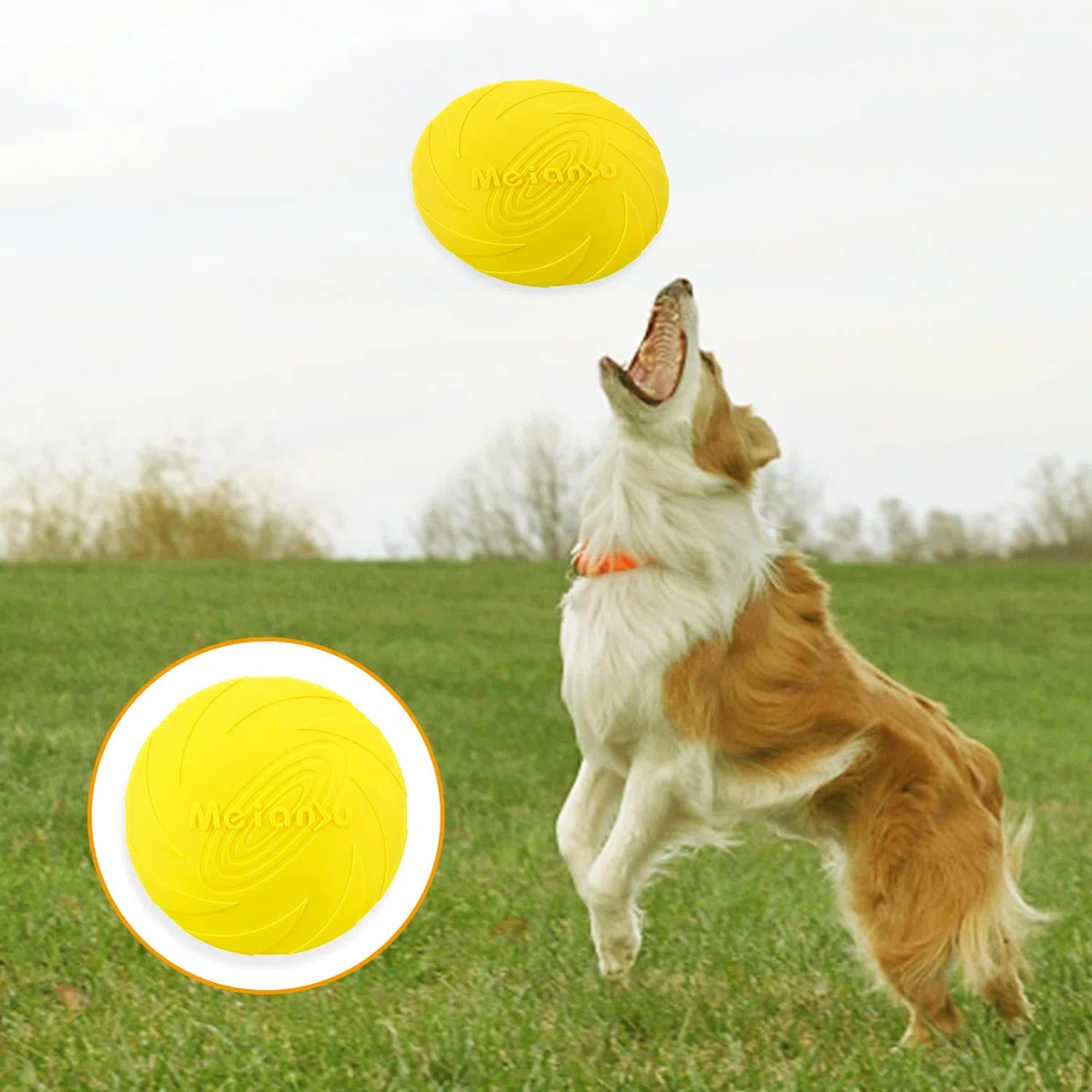 2 Pezzi Frisbee per CaniFrisbea, Giocattoli per Addestramento e Giochi Outdoor