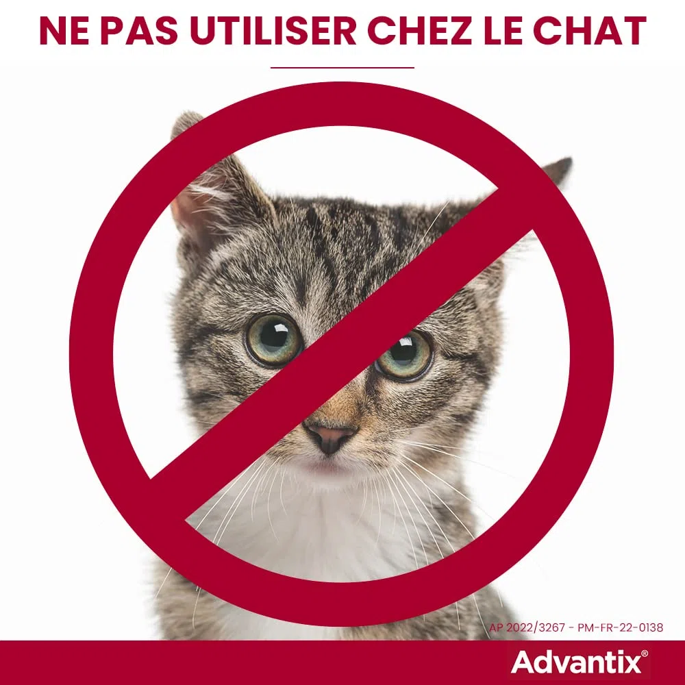 ADVANTIX 6 pipettes antiparasitaires - Pour tres petit chien de 1,5 a 4kg