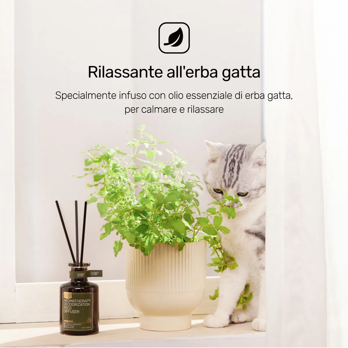 Diffusore a Canna per Eliminazione Degli Odori Degli Animali Domestici, Lavanda Cedro, 180ml, Non Tossico e Animali Domestici Deodorante d'aria