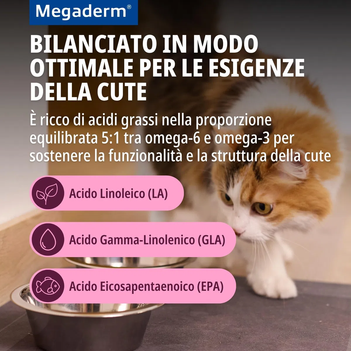 Virbac Megaderm Li Mono X28 8ml - 500 G