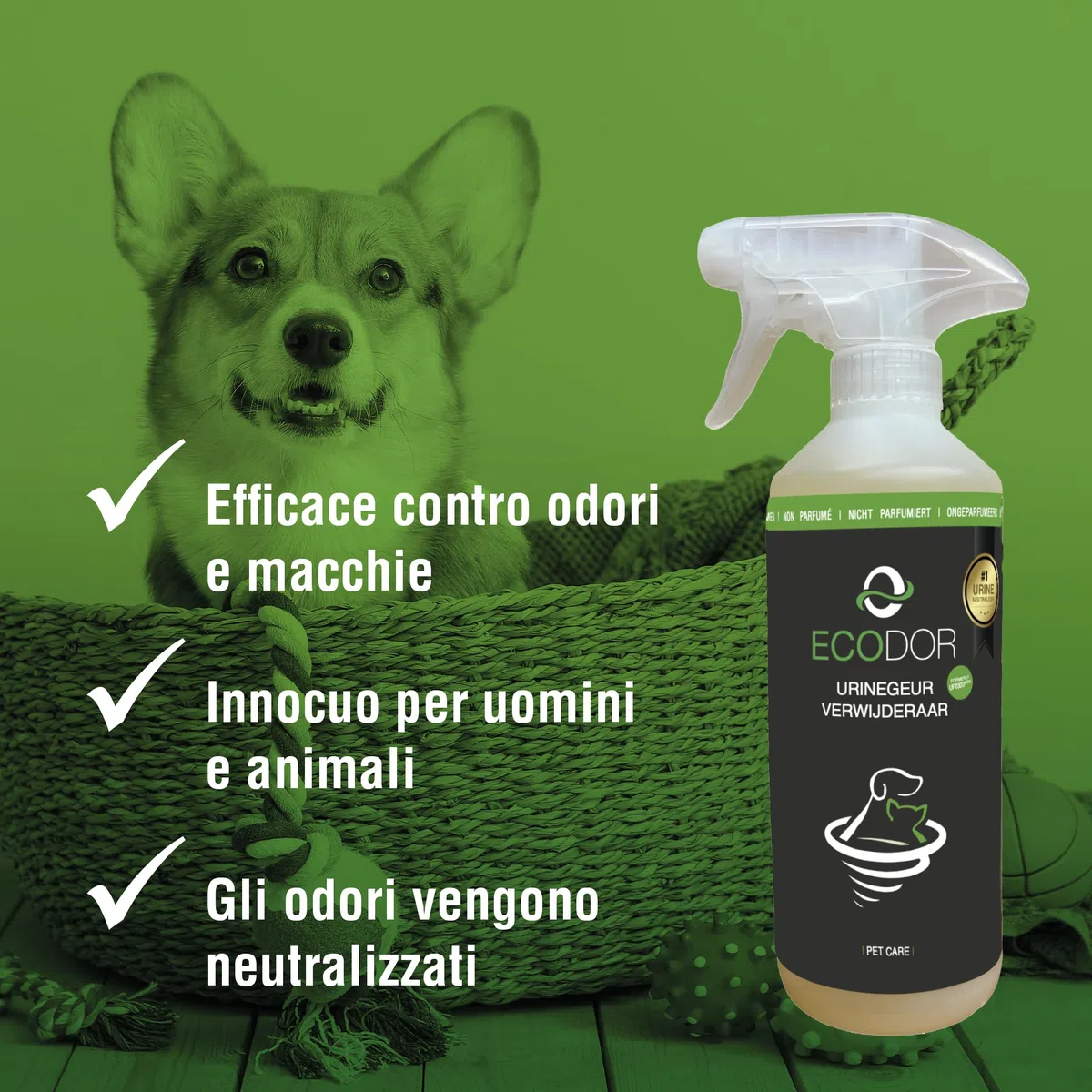 UF2000 4Pets Eliminatore di Odori di Urina 1000ml | Ricarica | Senza Profumo | Togliere Odore Urina | 100% Biologico | Detergente Enzimatico per Cani, Gatti e Piccoli Animali