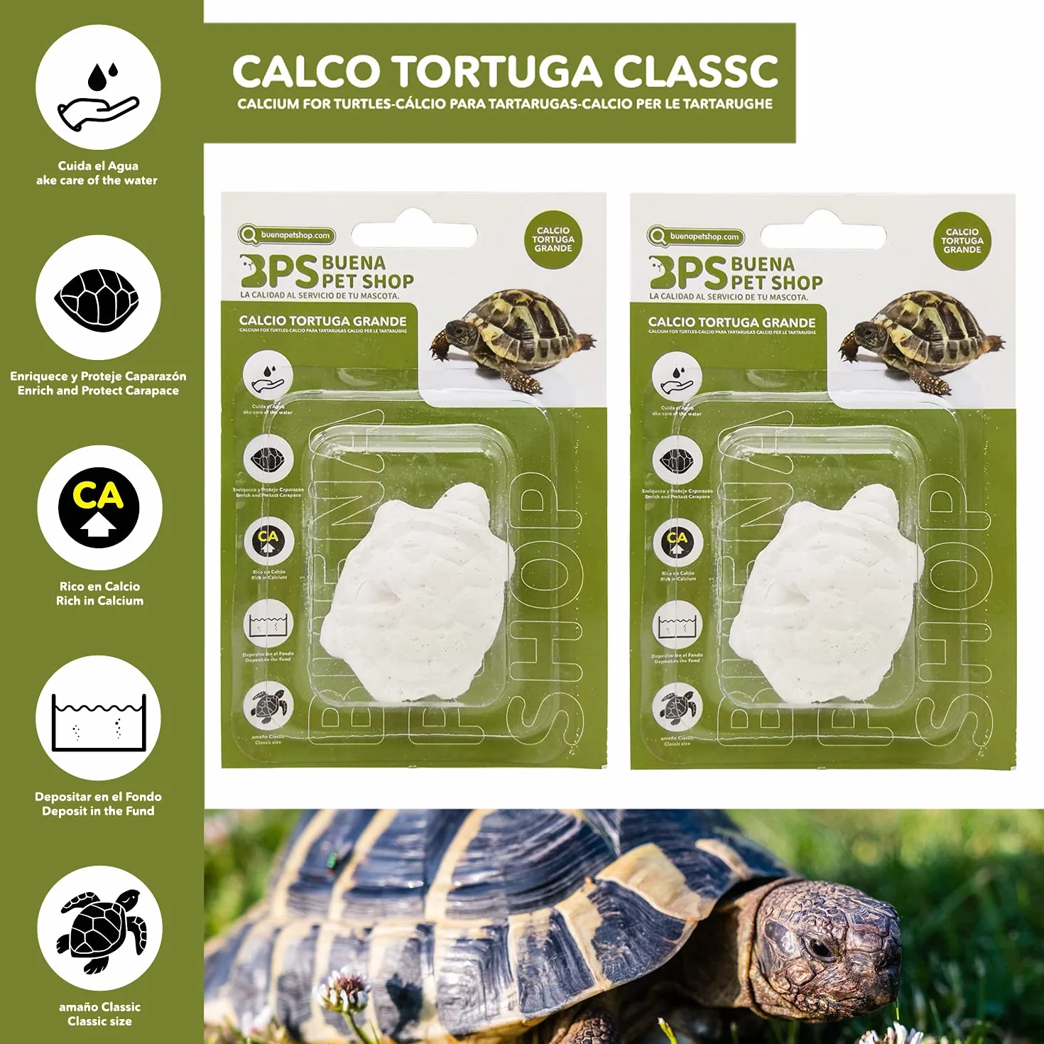 BPS 12 pezzi blocco di calcio per tartarughe grande complemento di base naturale BPS-4127 * 12