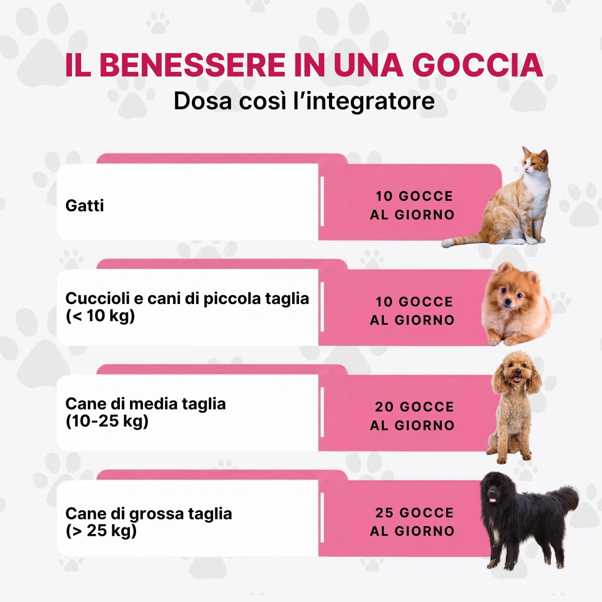 DermaPet Integratore Dermatite per Cute Cani e Gatti | Lenitivo Anti Rossore Naturale con Olio di Ribes | Prurito Cane e Gatto | 25ml | Integratori Olio contro Dermatiti Made in Italy | Longevity Pet