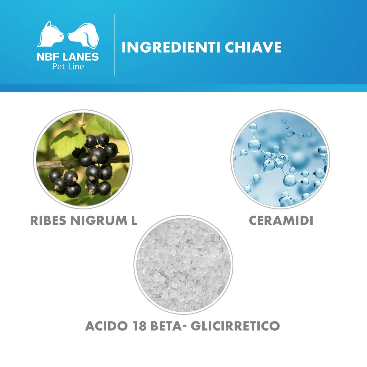NBF Lanes | Ribes Pet Ultra Emulsione Dermatologica a Cristalli Liquidi Cane e Gatto 50 ml, Normalizza il Microbiota Cutaneo, Favorisce la Normale Funzione Barriera della Cute, con Ceramidi