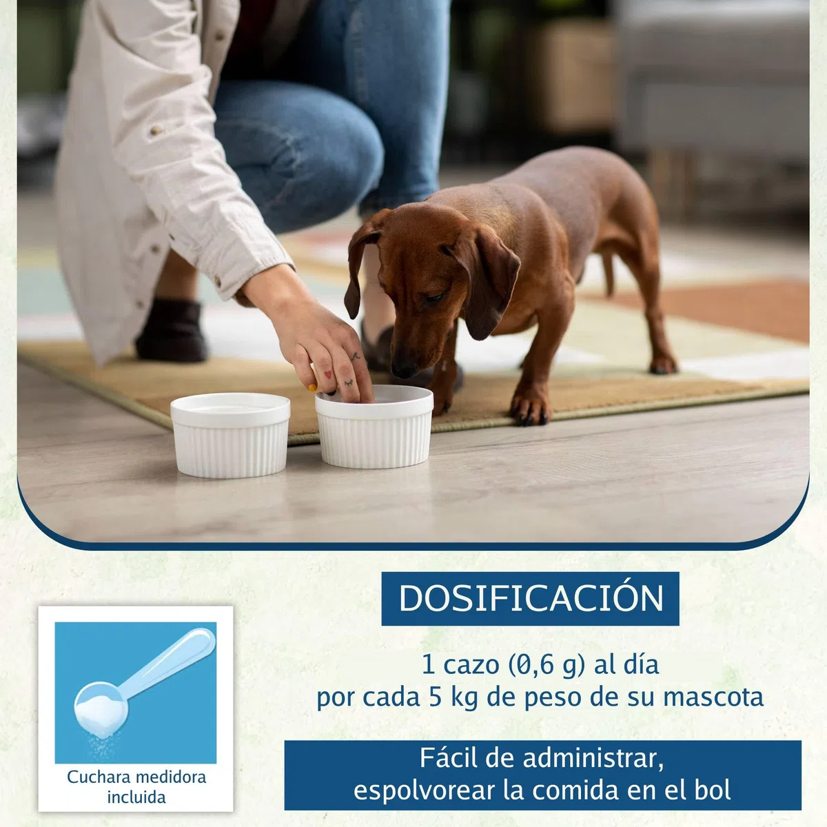 Anti tartaro e alito cattivo Néovéto Plaque Expert, prodotto biologico, per cani e gatti, Plaque Off, 180 dosi, Principi attivi approvati dai servizi veterinari francesi