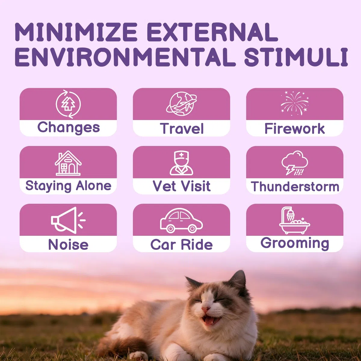 Spray calmante per gatti, aiuta a risolvere problemi comportamentali, stress, ansia, per casa, viaggi, toelettatura, con feromoni per gatti e ingredienti naturali