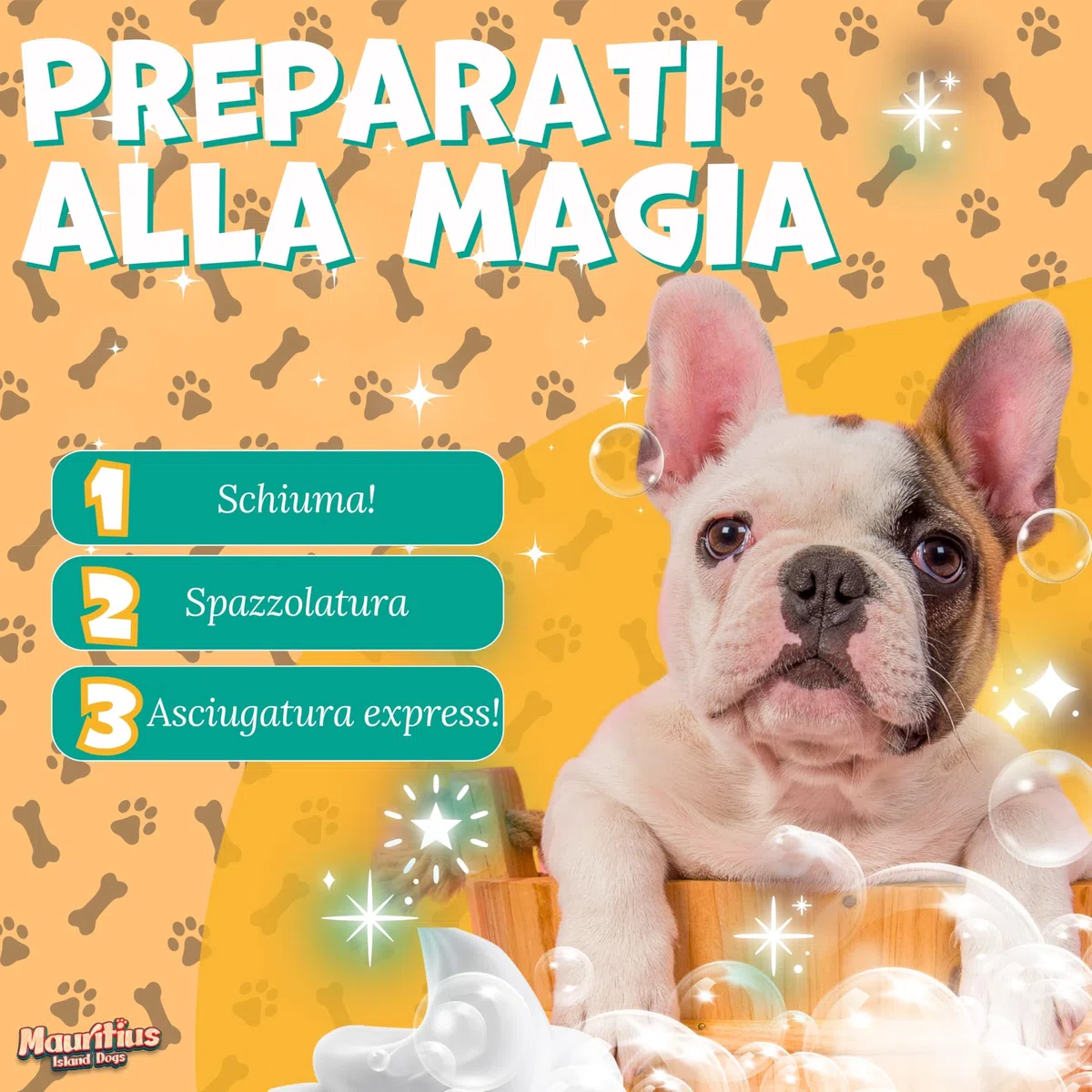 Shampoo Secco per Cani e Gatti Senza Risciacquo 500ML Schiuma Asciugatura Rapida Ingredienti Naturali Ipoallergenico Antiparassitario Idratante Lenitivo e Deodorante (Mango)