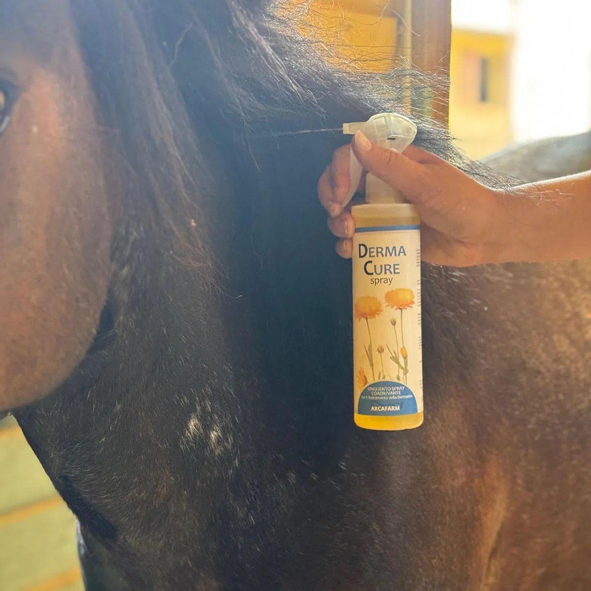Spray Dermatite Cavalli DermaCure Arcafarm 250 ml - Trattamento Naturale per eczemi, irritazione pelle, arrossamenti, dermatite estiva recidivante cavallo, prurito cute - supporto per ricrescita pelo
