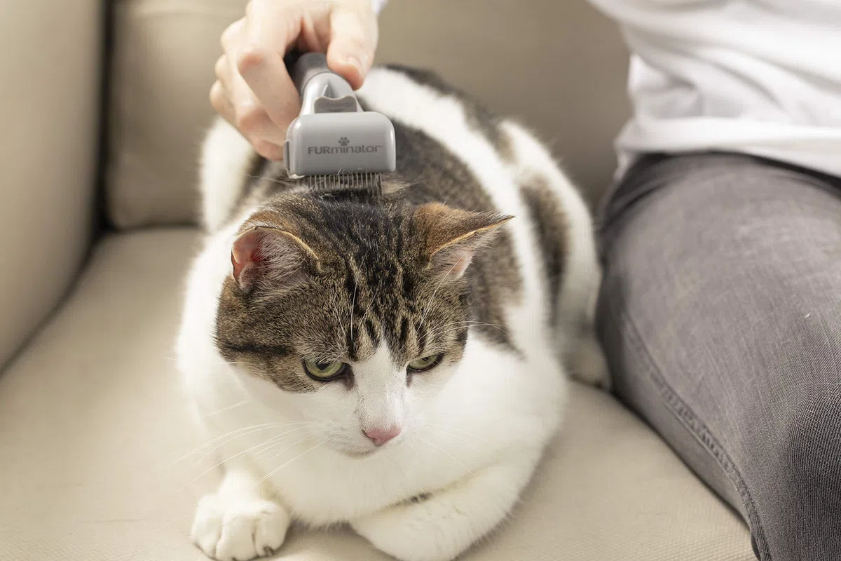 FURminator Districante regolabile per Cani e Gatti - Pettina in modo sicuro e rimuove delicatamente i nodi dal pelo