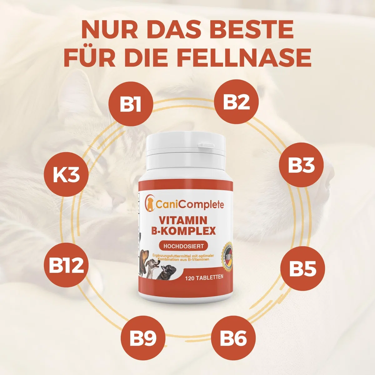Complesso vitaminico B per cani, gatti, B1, B2, B3, B5, B6, B9, B12, K3, calcio, acido folico. Supporta funzioni nervose importanti. 120 pezzi (confezione 4 mesi)