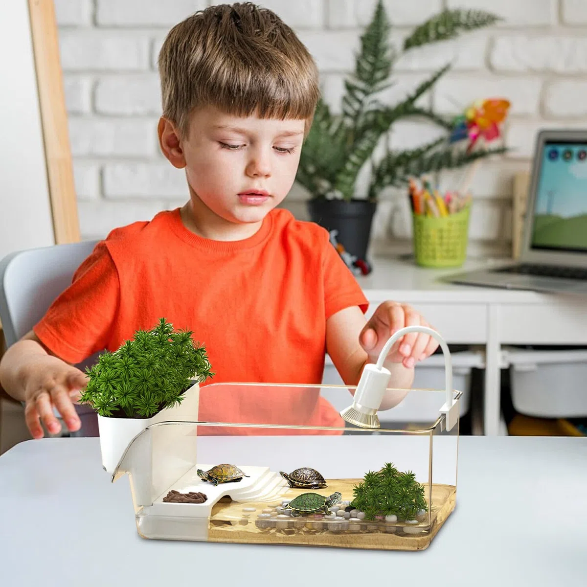 Acquario per Tartarughe | Riposo per Tartarughe,Acquario Per Tartarughe Per Scuole Casa Rifugi Animali Educatori Natura