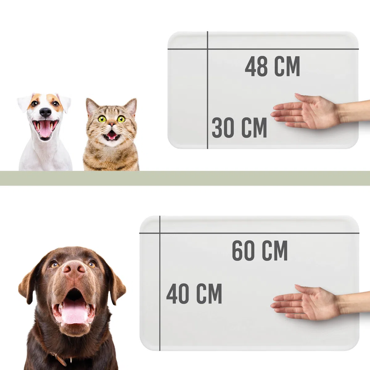Basic, tappetino in silicone, 60 x 40 cm, trasparente, antiscivolo, per cani, gatti, tappetino per cani e gatti