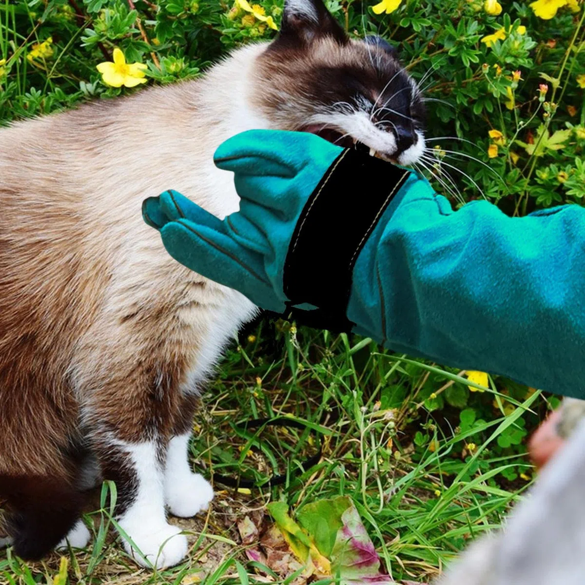 Guanti per la manipolazione degli animali, anti-morso e antigraffio, guanti da addestramento per cani, durevoli e impermeabili per animali domestici, da bagno, da alimentazione, da allenamento