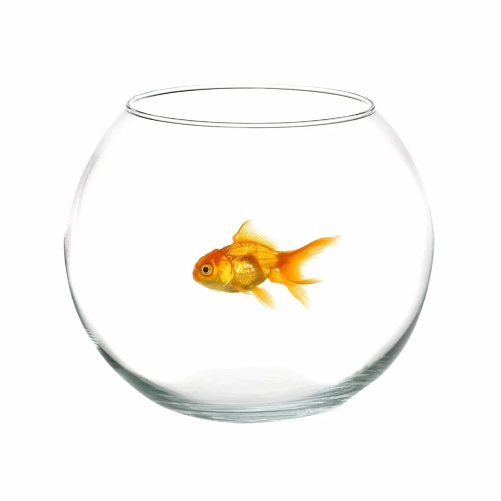 Trade Shop - Ampolla Boccia per Pesci in Vetro 25 Cm Acquario Pesce Rosso Centro Tavola Casa