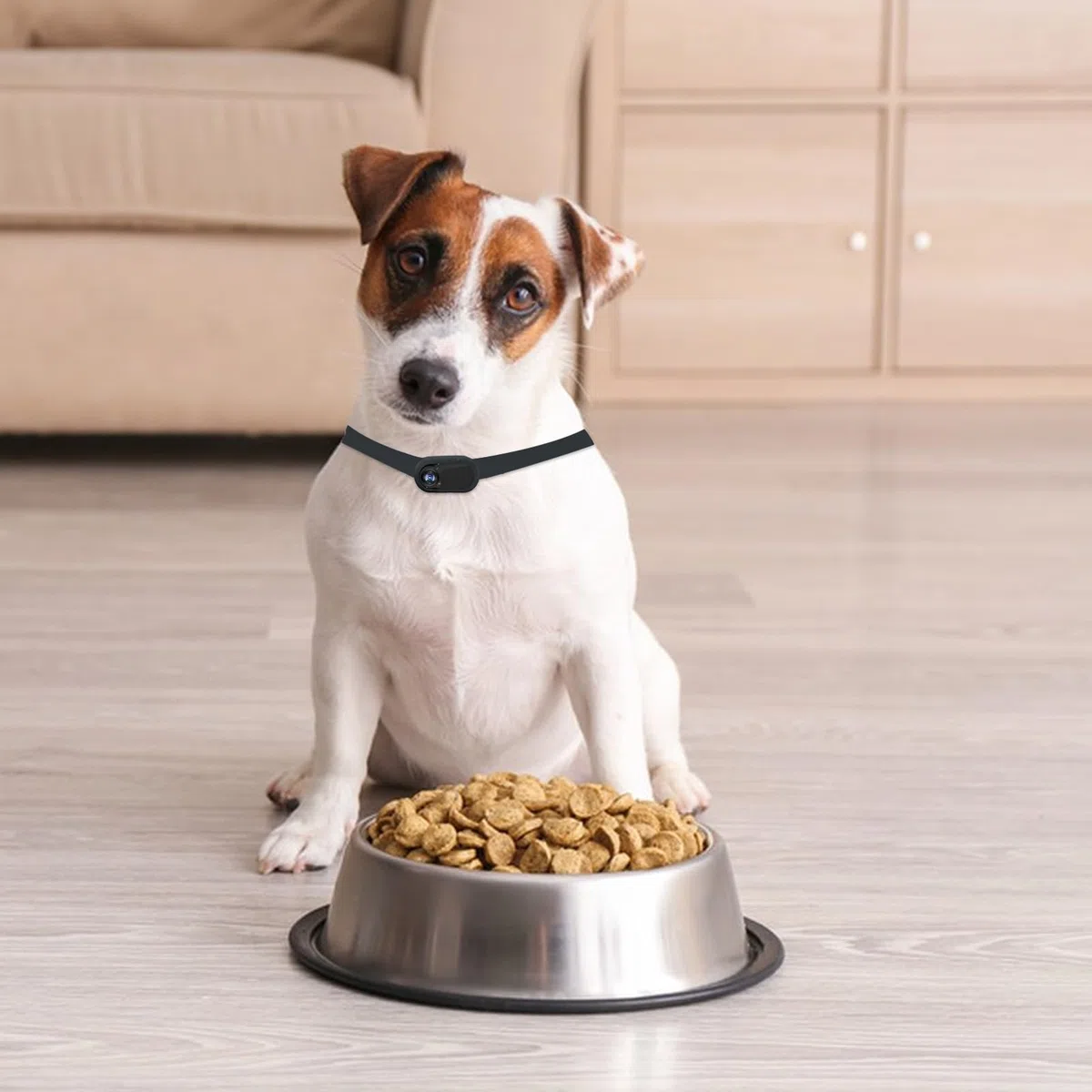 Collare per cani con videocamera wireless HD 1080p, telecamera nascosta per gatti, videocamera per gatti, videocamera portatile stabile per sport, con registrazione video