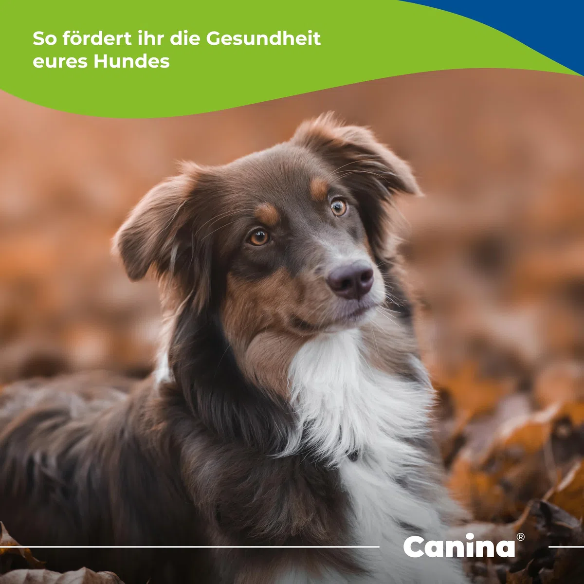 Canina Barfer's Best, 500 g