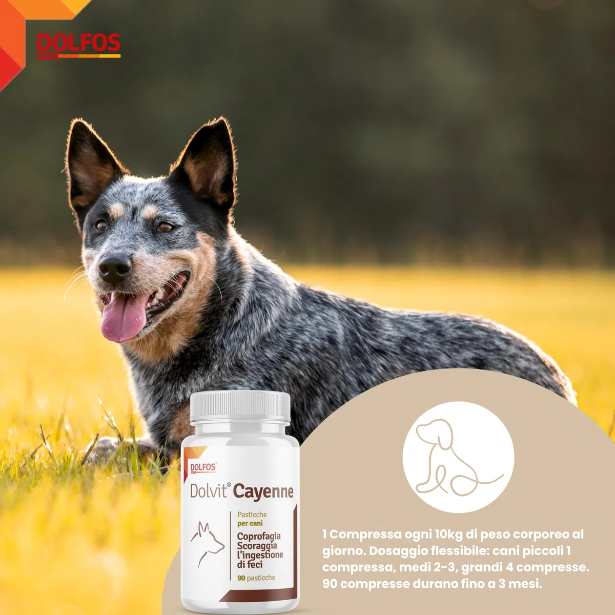 Dolvit Cayenne Coprofagia Cane - 90 Pastiglie masticabili disabituanti, Integratore naturale