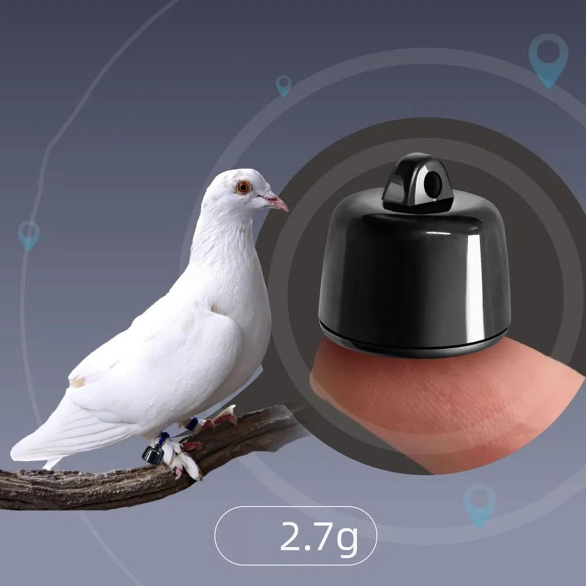 Localizzatore per animali domestici, dispositivo di localizzazione per cani, dispositivo di localizzazione degli uccelli, localizzatore per gatti piccoli, localizzatore GPS leggero a lungo raggio con