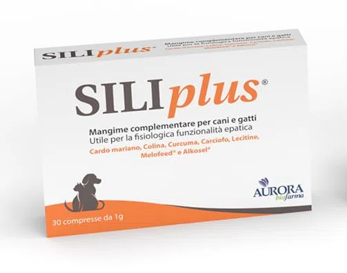 Aurora biofarma SIliplus 30 compresse