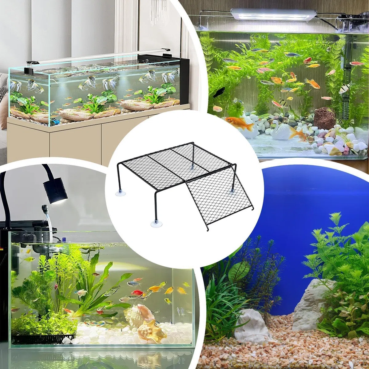Piattaforma per tartarughe per acquario, decorazione rampa con – Isola solare 'acquario di tartaruga – Adatto per ristorante, soggiorno, balcone, terrazzo, tritone, granchi e tortois