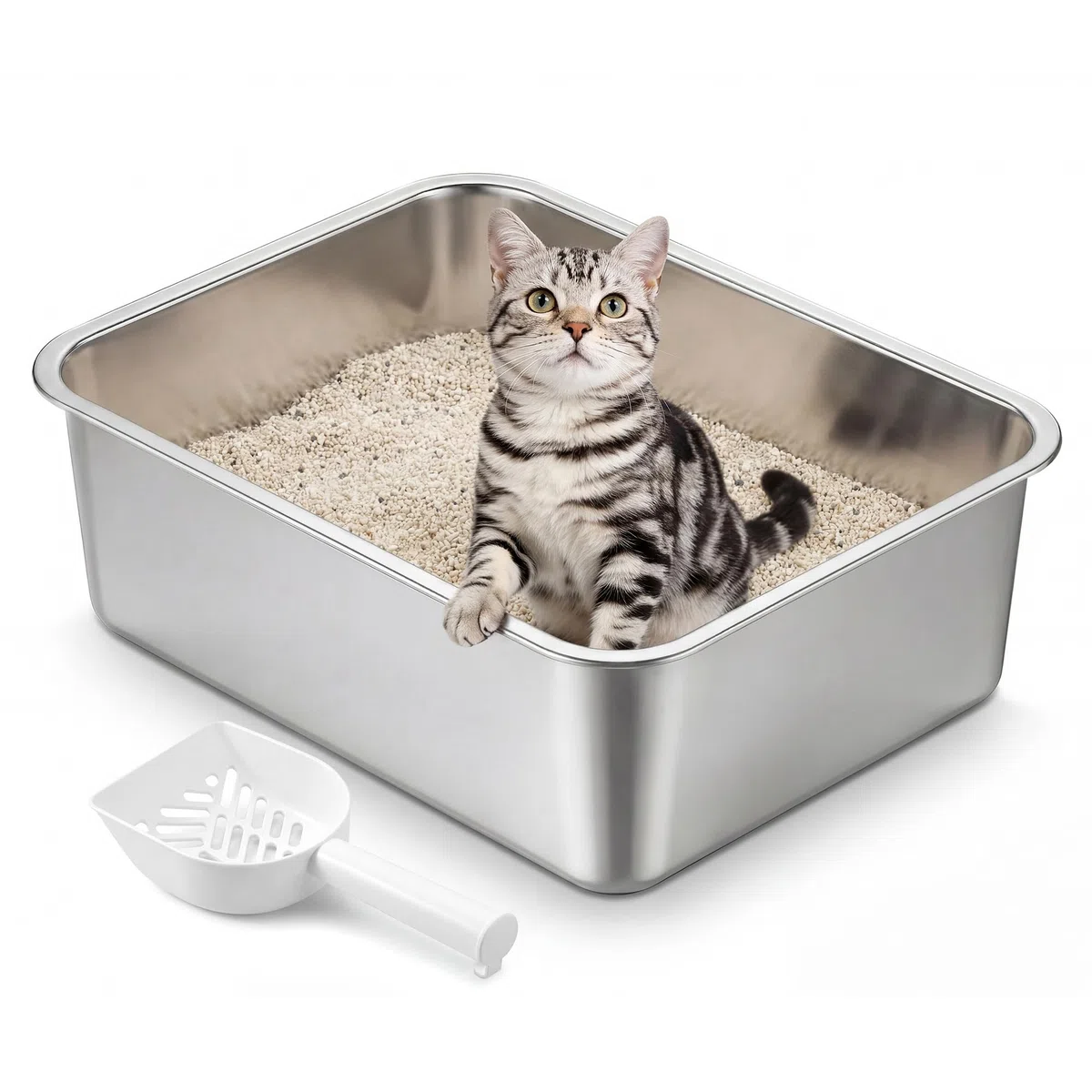 Feandrea Lettiera per Gatti in Acciaio Inox, Vaschetta Aperta con Paletta, 45 x 35 x 15 cm per Gattini e Gatti Piccoli, Argento PPT014E101