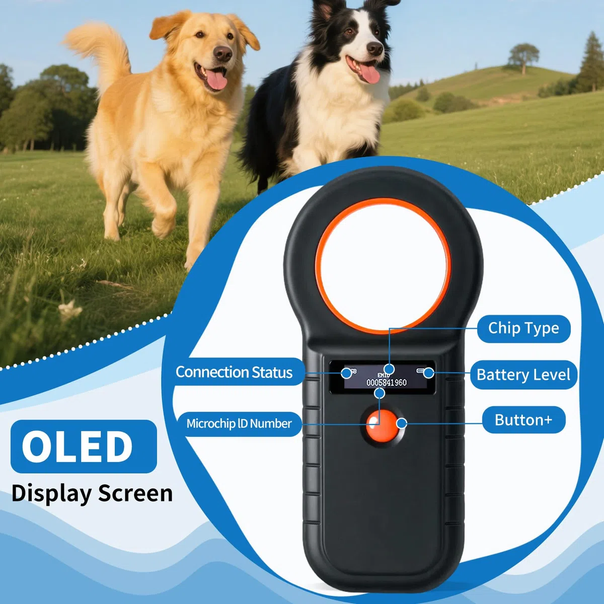 ARCELILettore dichip RFID per animali, cani e gatti, 134,2 KHz, 128 pezzi di memorizzazione ISO11784/85/HFDX-B