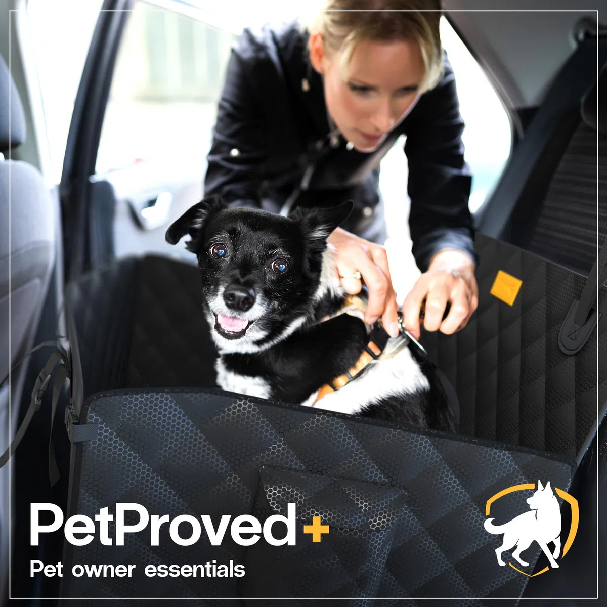 PETPROVED Seggiolino Auto per Cani Seggiolino per Cani da Auto Impermeabile Sedili Posteriori Trasportino Cane Trasporto Cane