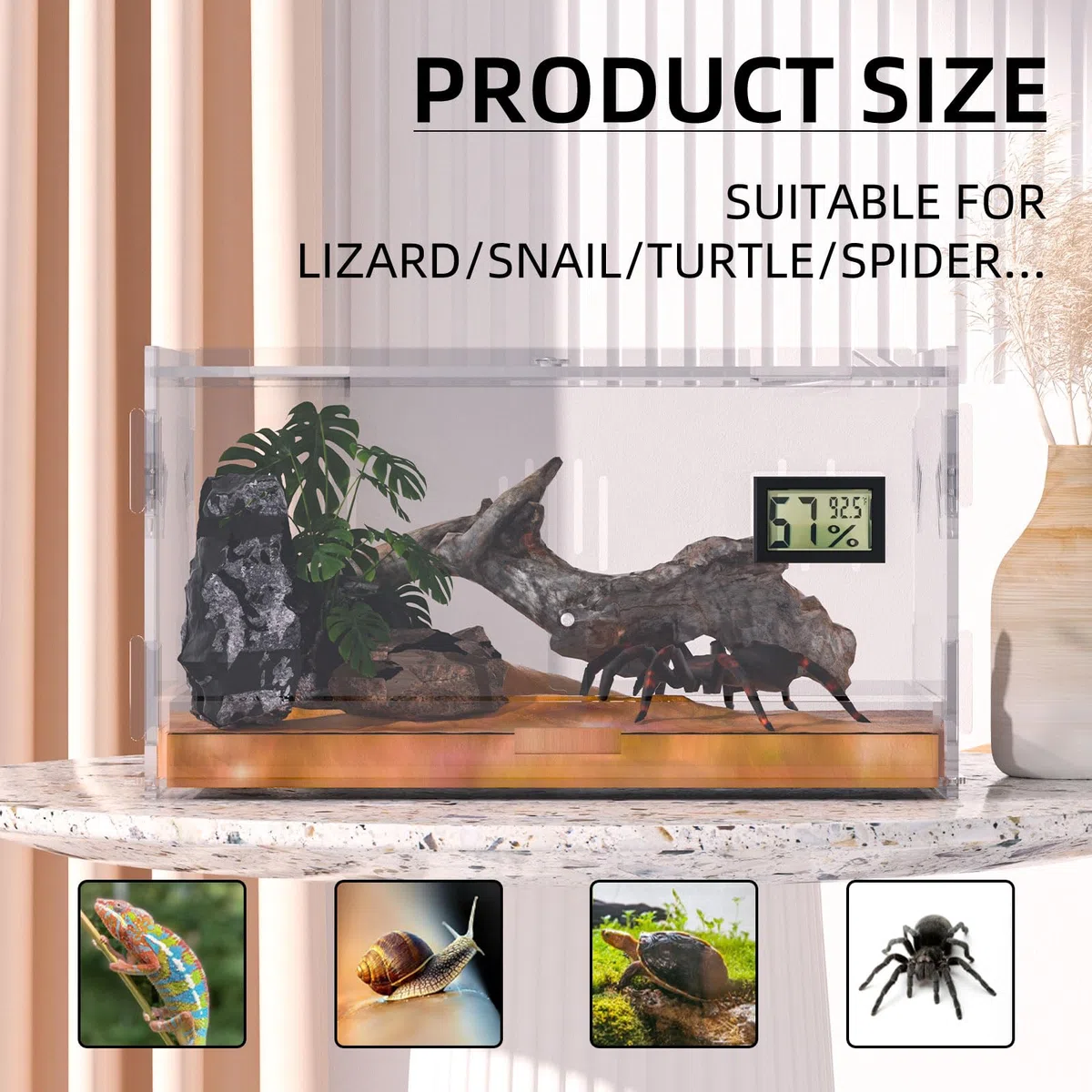 Terrari rettili, con igrometro di temperatura, 30x20x15cm acrilico rettile Allevamento Box Terrario gabbia serbatoio per piccoli rettili insetti Home Office (Terrestrial Small)