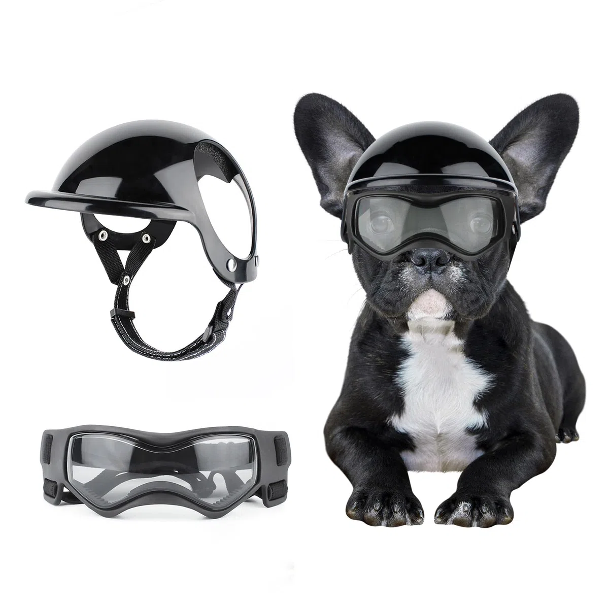 Casco per cani e cani di piccola taglia, occhiali per cani e animali domestici, casco da moto con fori per le orecchie, cinghie regolabili, casco di sicurezza da equitazione