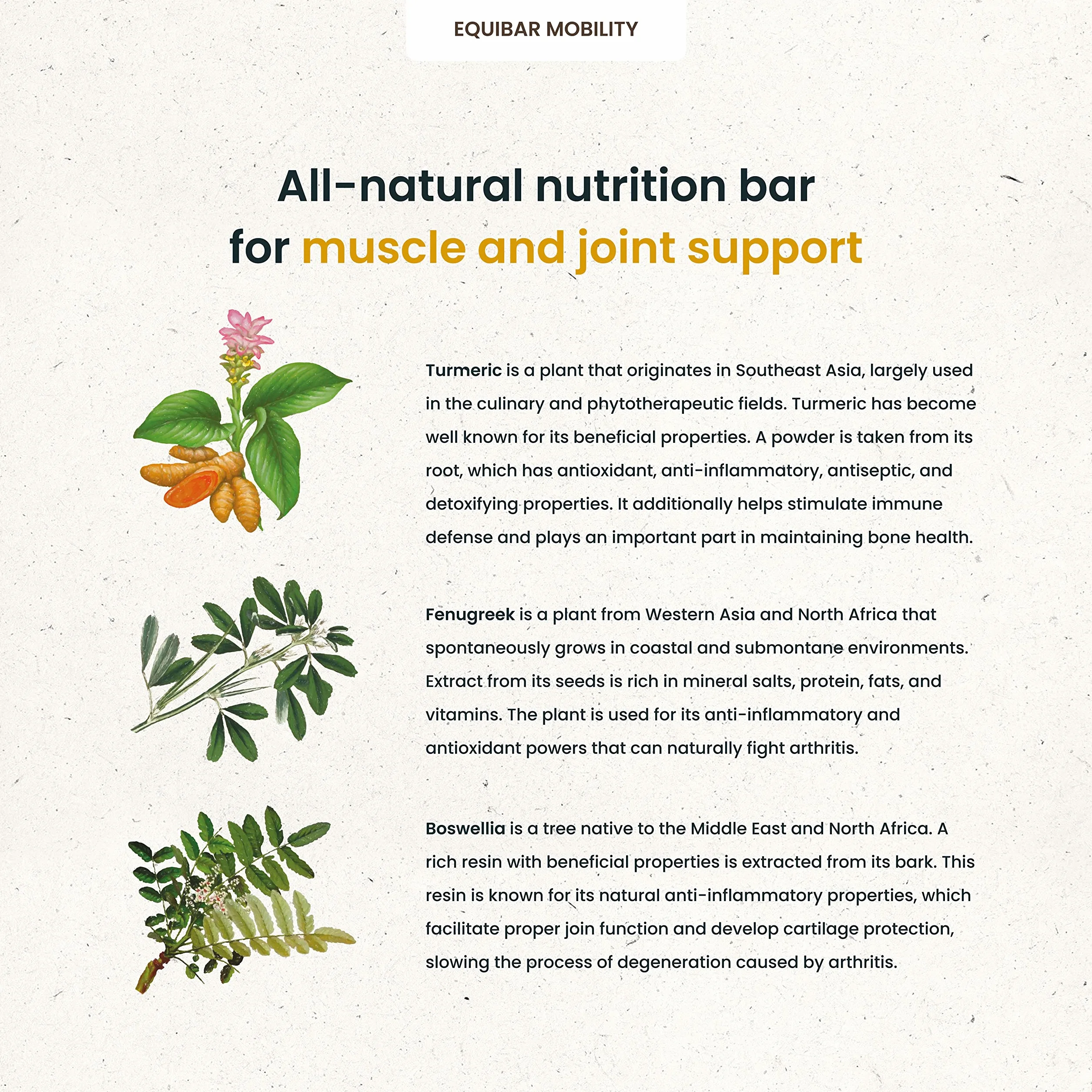 EQUIBAR Mobility: barretta naturale per il supporto di muscoli e articolazioni del cavallo - 700 gr