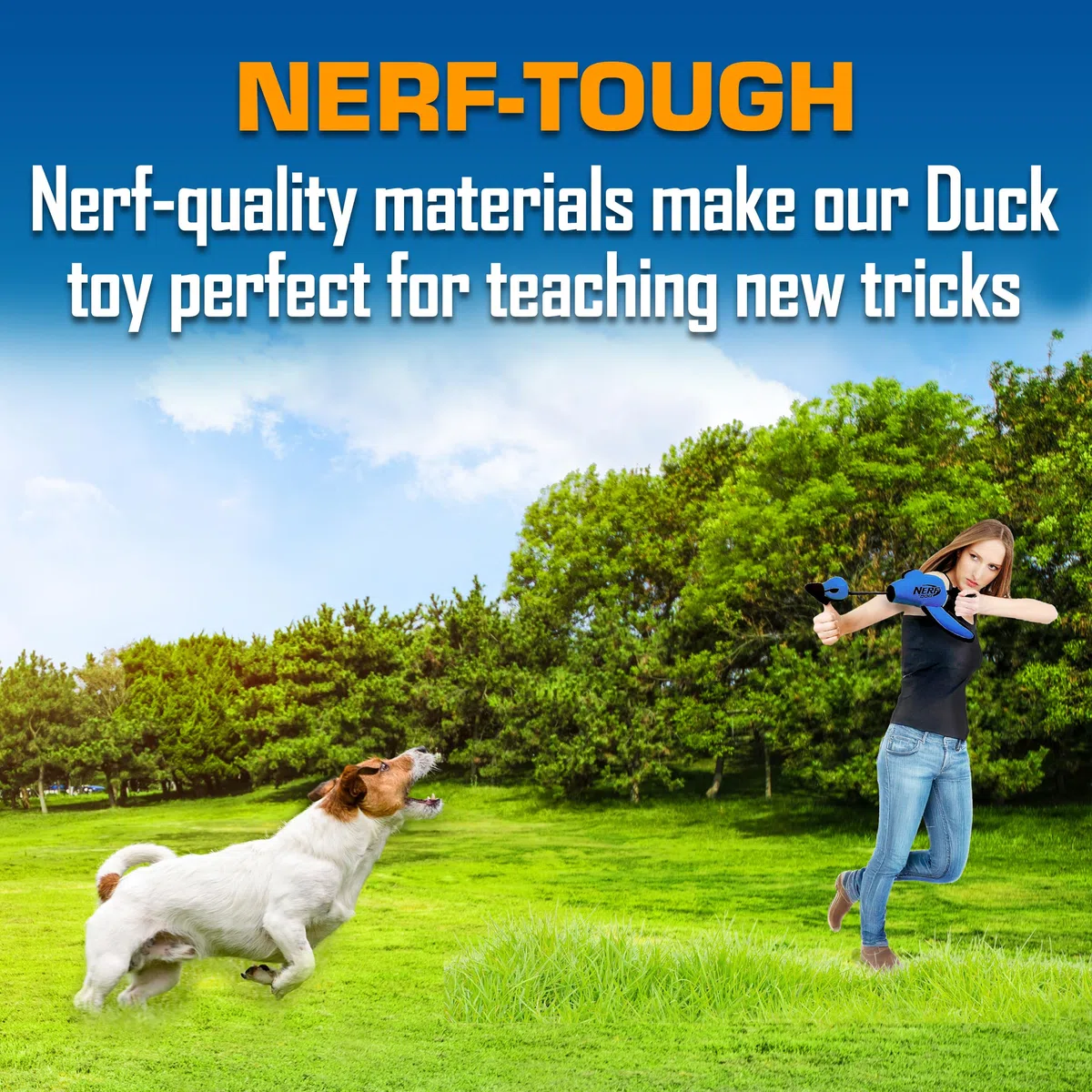 Nerf Dog Grande anatra lancio in nylon con design interattivo, blu (3473), per tutte le razze