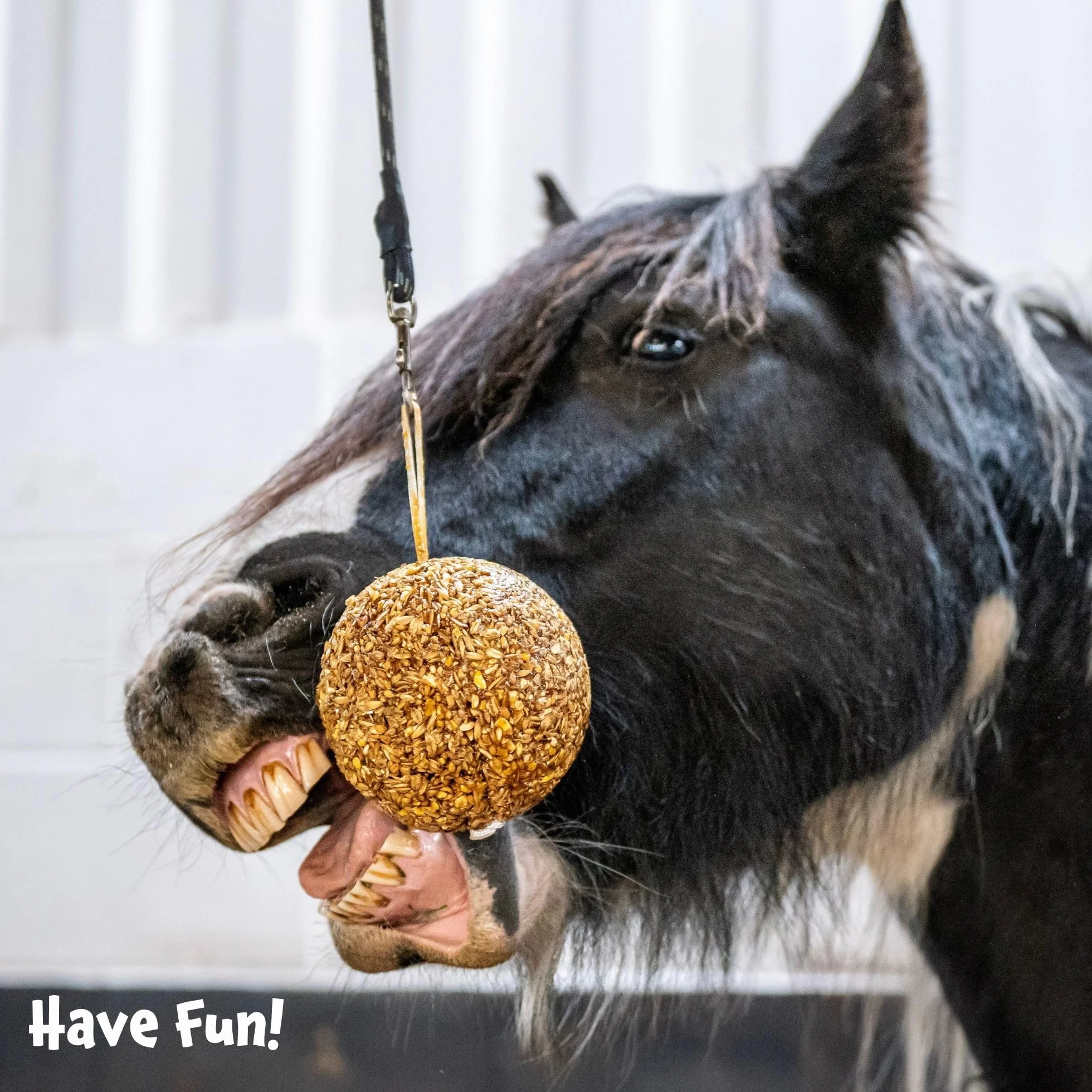 Likit Granola Stall-Ball Horse Treat 1,6 kg | Sapori di mela, bacca mista, menta piperita, melassa | lunga durata, noia e antistress | 1,6 kg