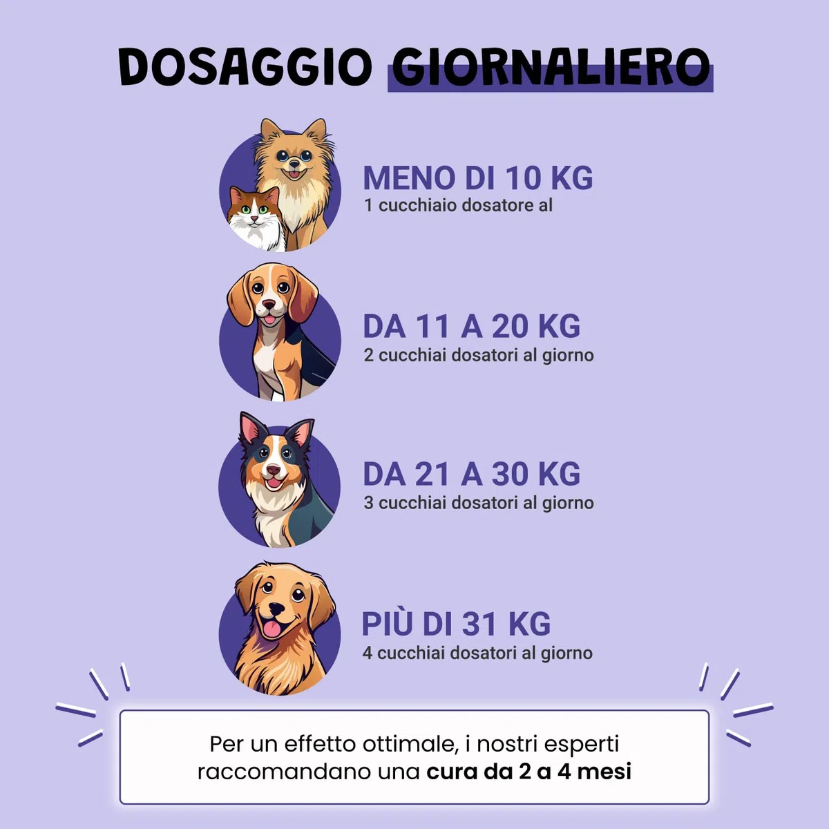 Vision 100 g – Integratore oculare naturale per cani e gatti | Mirtillo, Ginkgo, calendula | Antiossidanti e microcircolazione | Supporto per il comfort visivo | Appetito al fegato di pollo