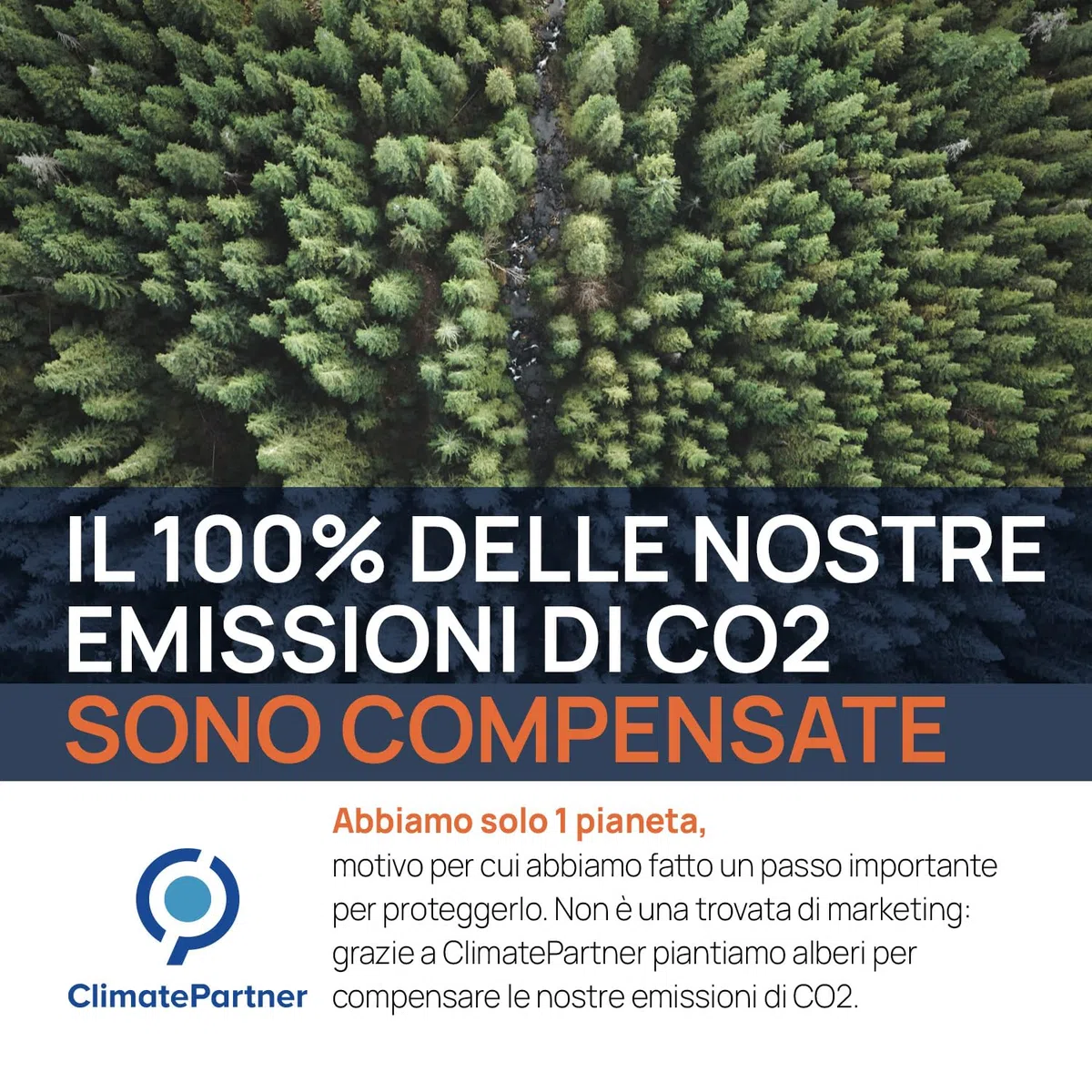 Argento colloidale, 40 PPM, 1 litro, acqua d'argento di alta qualità, più forte di 25 ppm, per uomo, cane e gatto, carbonio neutro, 100% naturale con 2 ingredienti