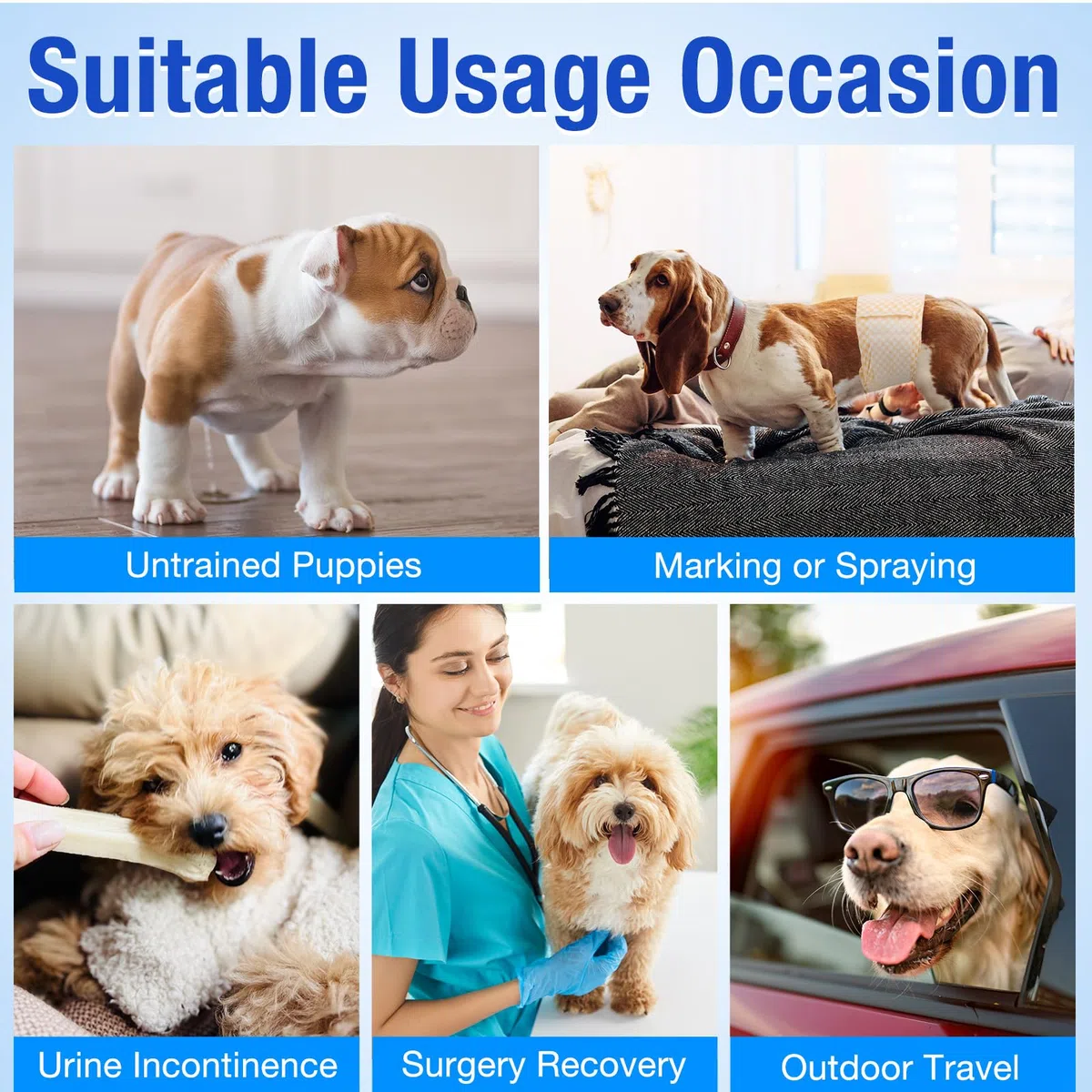 MICOOYO Pannolini usa e getta per cani maschi – Pannolini ad alta assorbenza per incontinenza con indicatore di umidità (XS, Confezione da 50)