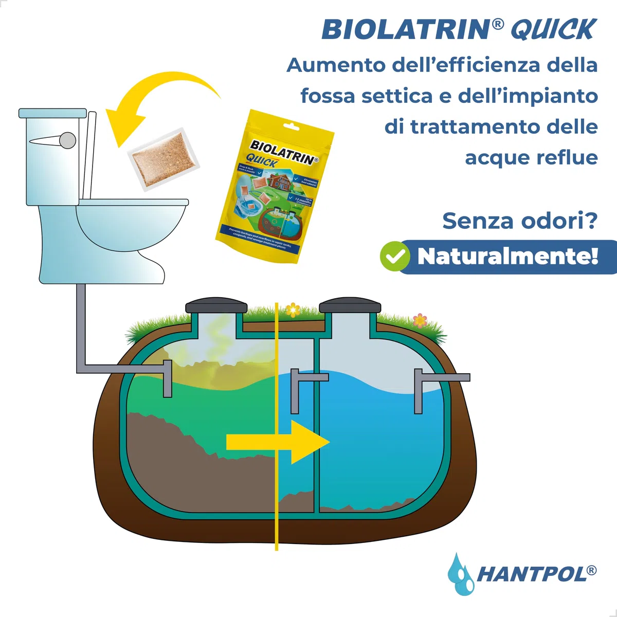 QUICK - Trattamento Biologico Avanzato per Fosse Settiche - per Casa, Fattoria, Aree Ricreative - Risultati Rapidi - Adatto a Sistemi Moderni - Sufficiente per 1 anno - 12 sacchetti - 400G